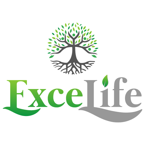 ExceLife Logo